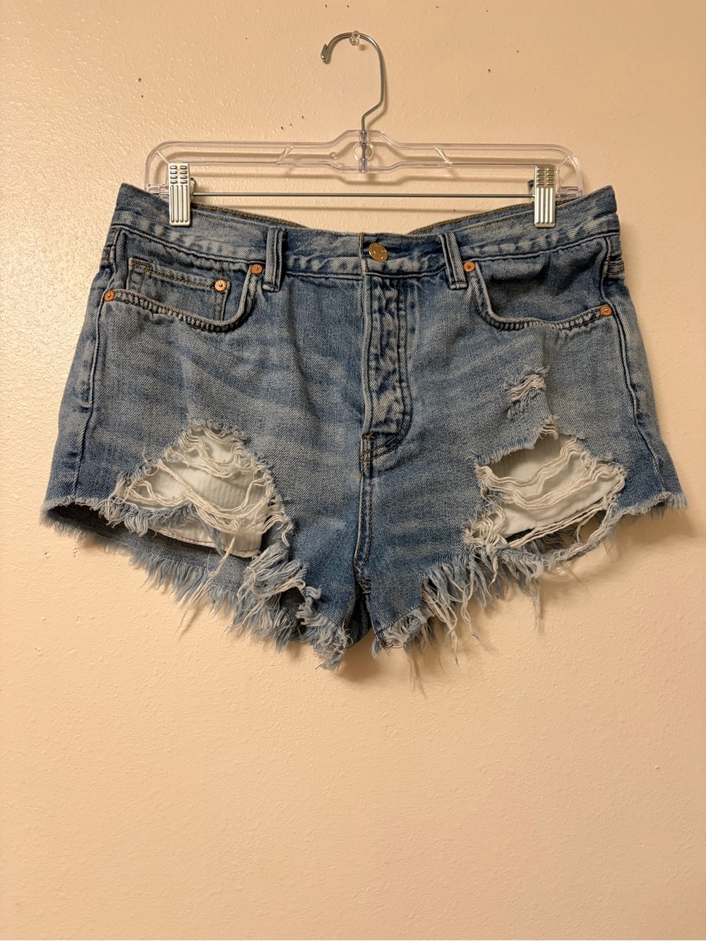 Free People We The Free Distressed Buttonfly Denim Shorts Size 29